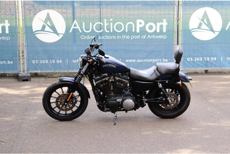 Harley-Davidson Sportster XL883 Iron - 摩托车:图1 Harley-Davidson Sportster XL883 Iron - 摩托车:图1