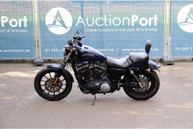 Harley-Davidson Sportster XL883 Iron - 摩托车:图2 Harley-Davidson Sportster XL883 Iron - 摩托车:图2