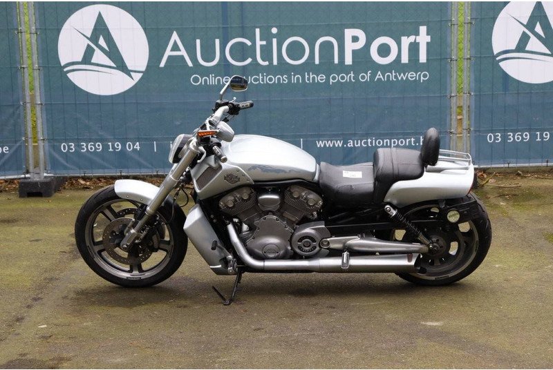 Harley-Davidson V-Rod Muscle - 摩托车:图2 Harley-Davidson V-Rod Muscle - 摩托车:图2