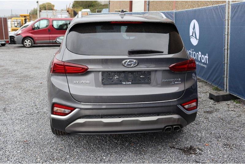 Hyundai Santa Fe SHTRAC - 轿车:图5 Hyundai Santa Fe SHTRAC - 轿车:图5