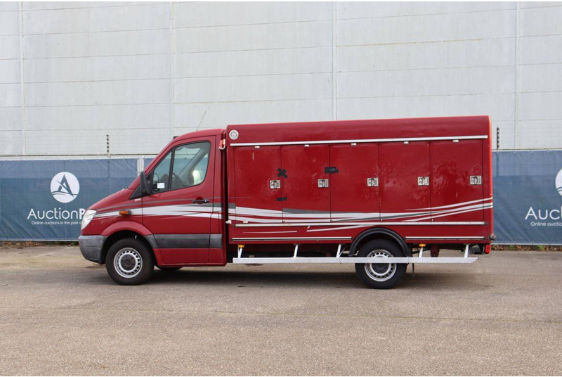 Mercedes-Benz 313CDI - 厢式货车:图3 Mercedes-Benz 313CDI - 厢式货车:图3