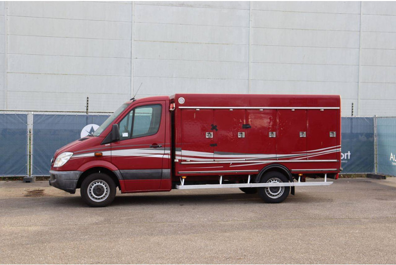 Mercedes-Benz 313CDI - 厢式货车:图1 Mercedes-Benz 313CDI - 厢式货车:图1