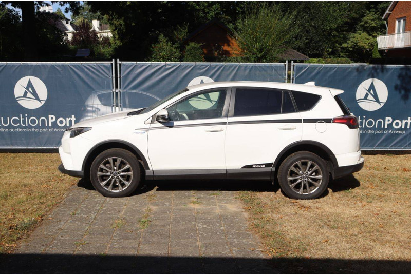 Toyota RAV4 - 越野车:图2 Toyota RAV4 - 越野车:图2
