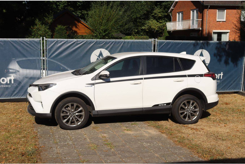 Toyota RAV4 - 越野车:图1 Toyota RAV4 - 越野车:图1