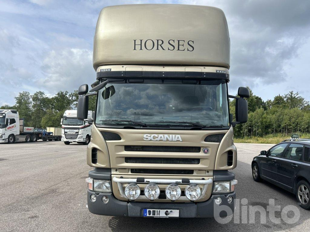 SCANIA P360DB6X2*4MNB - 马匹运输车:图2 SCANIA P360DB6X2*4MNB - 马匹运输车:图2