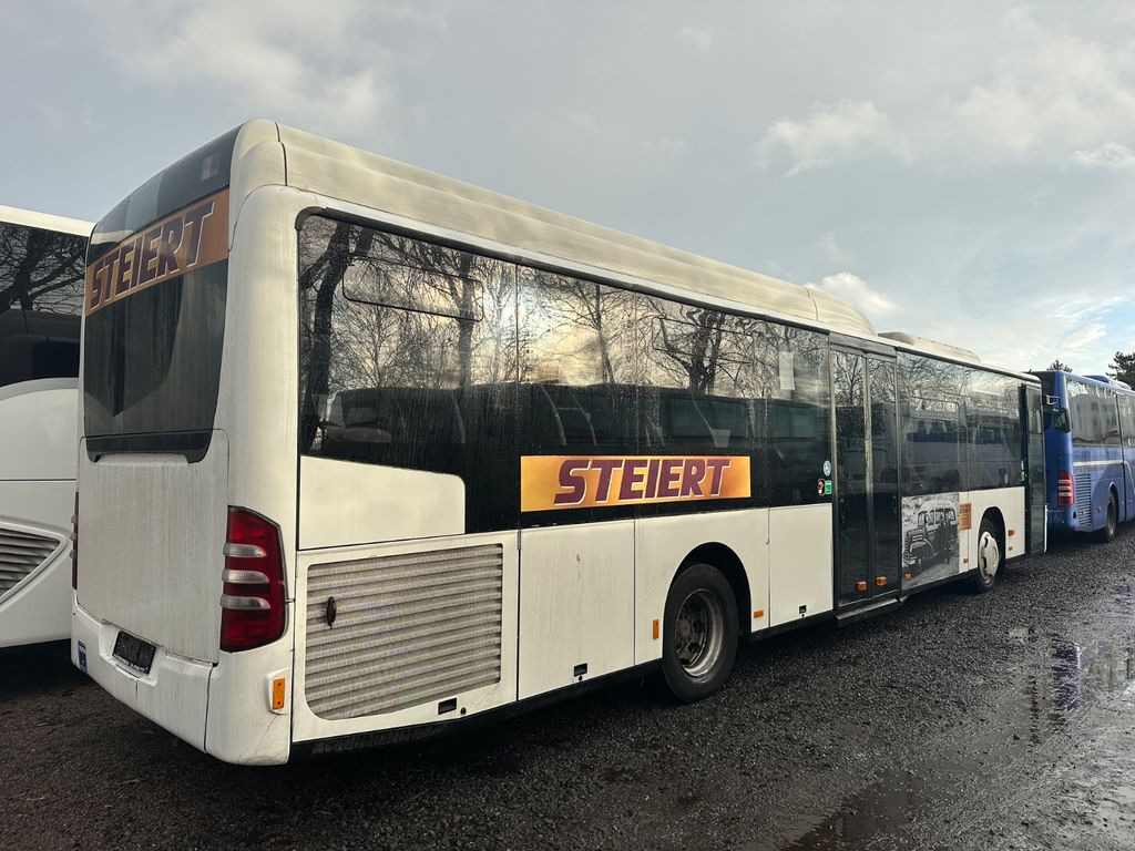 Mercedes-Benz O 530 Citaro LE (Euro 5, Klima) Mercedes-Benz O 530 Citaro LE (Euro 5, Klima) - 城市巴士:图2 Mercedes-Benz O 530 Citaro LE (Euro 5, Klima) Mercedes-Benz O 530 Citaro LE (Euro 5, Klima) - 城市巴士:图2