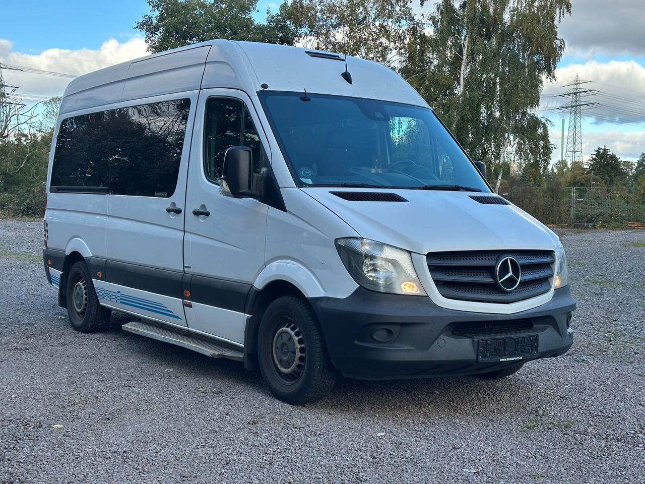 Mercedes-Benz Sprinter 316 CDi (wenig Km*Motor Neu) - 小型巴士, 小型客车:图1 Mercedes-Benz Sprinter 316 CDi (wenig Km*Motor Neu) - 小型巴士, 小型客车:图1